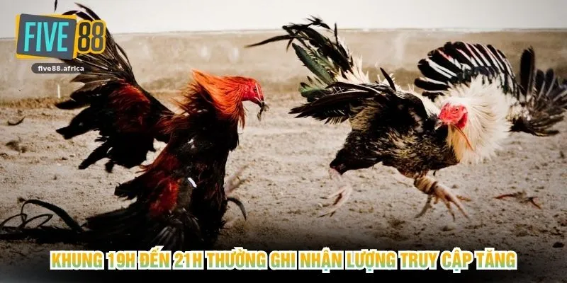 Khung 19h đến 21h thường ghi nhận lượng truy cập tăng