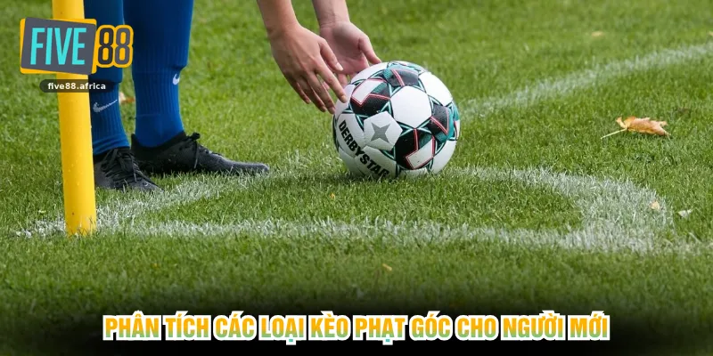 Phân tích các loại kèo phạt góc cho người mới