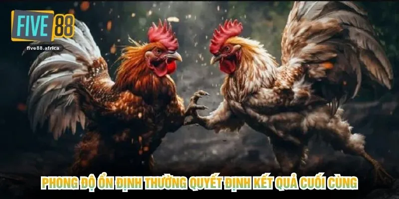 Phong độ ổn định thường quyết định kết quả cuối cùng