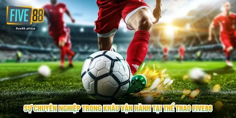 Sự chuyên nghiệp trong khâu vận hành tại thể thao FIVE88