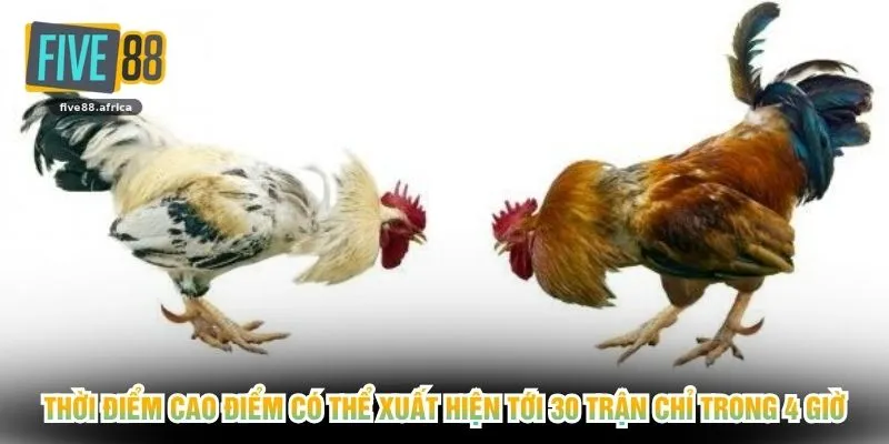 Thời điểm cao điểm có thể xuất hiện tới 30 trận chỉ trong 4 giờ